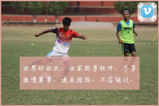 世界杯狂欢，独家购票软件，尽享激情赛事，速来抢购，不容错过，畅享足球盛宴