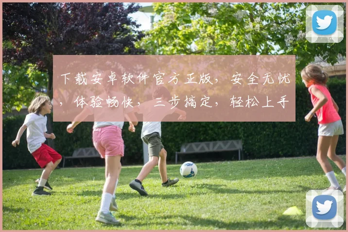 下载安卓软件官方正版，安全无忧，体验畅快，三步搞定，轻松上手
