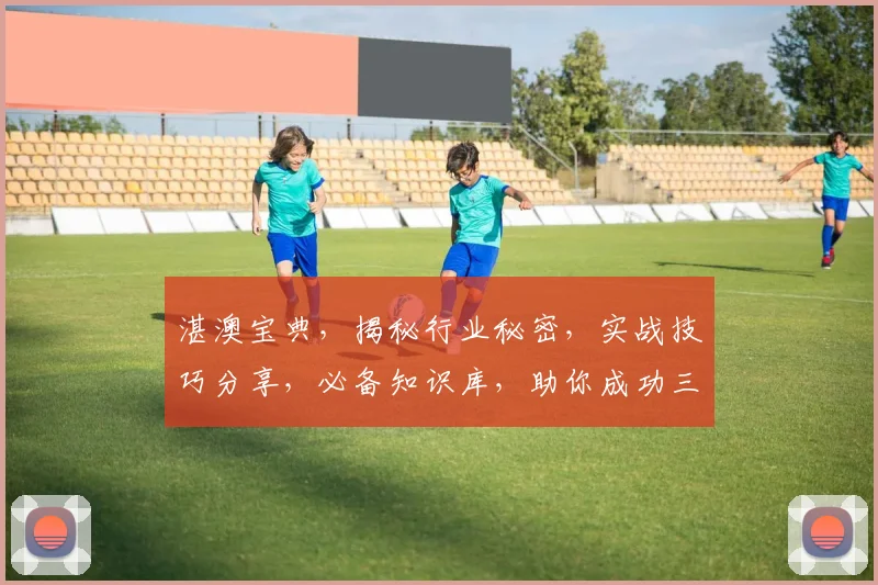 湛澳宝典，揭秘行业秘密，实战技巧分享，必备知识库，助你成功三步走